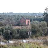 La chiesa � immersa nella vegetazione, circondata da ulivi e mandorli e conserva nonostante l�abbandono una certa grazia