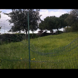 Rete divelta del filmato