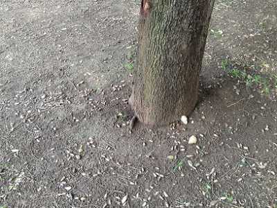 Interno Parco 2 giugno