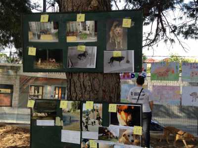 Festa del Cane a Palo del Colle