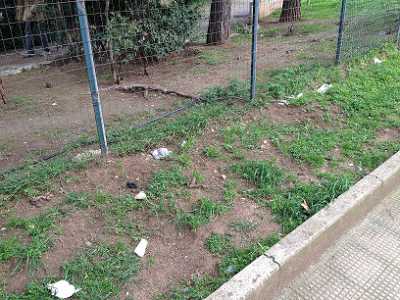 Aiuole esterne a Parco 2 giugno
