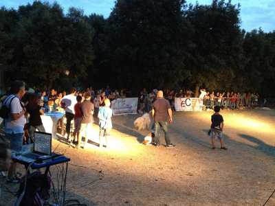 Festa del Cane a Palo del Colle