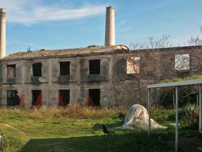 Ex Gaslini - parco interno