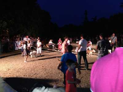 Festa del Cane a Palo del Colle