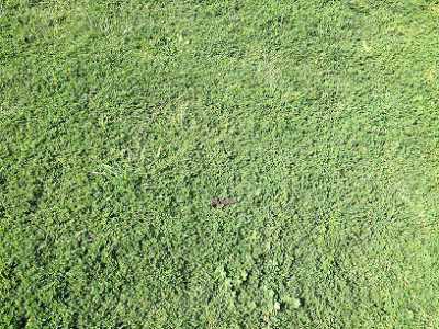 Interno Parco Perotti