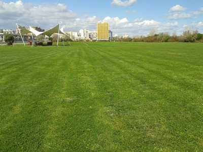 L'ultimate frisbee