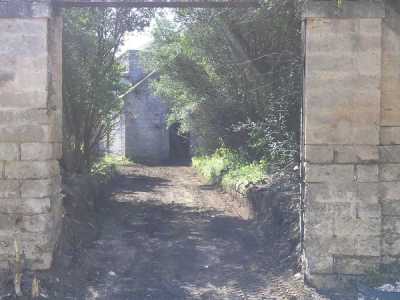 Il viale ripulito dai detriti