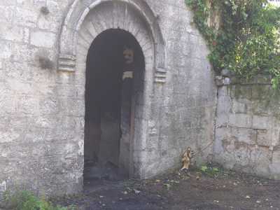 La facciata ripulita dalle erbacce 