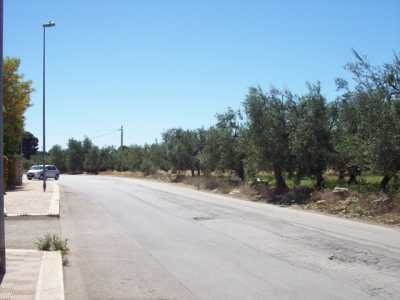 Strada del Carro