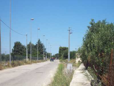 Carrara del Carro