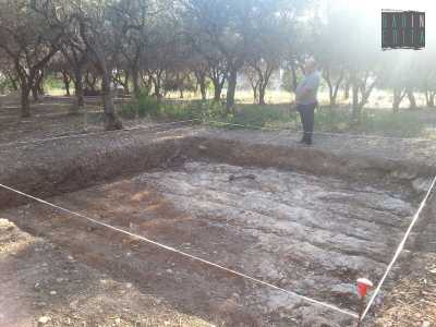 Il primo scavo effettuato in un'area quadrata priva di ulivi