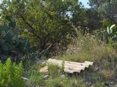 Una grossa tegola di amianto