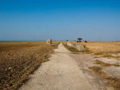 Strada di collegamento fra le tre piattaforme di lancio della ex base missilistica in localit� Ceraso nell'Alta Murgia