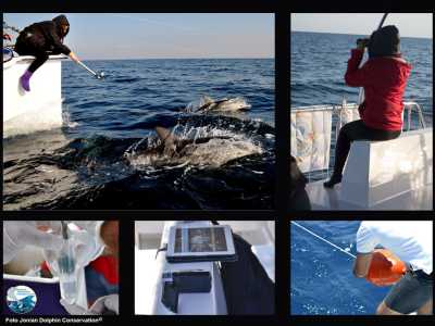 Un collage realizzato dall'associazione tarantina nel quale si vedono alcune fasi della ricerca in mare 