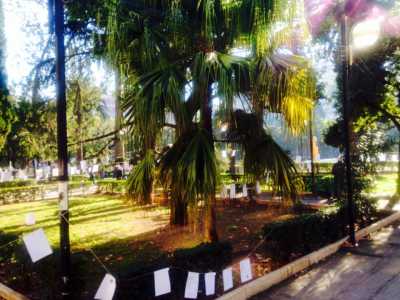 Piazza Umberto riempita di poesie