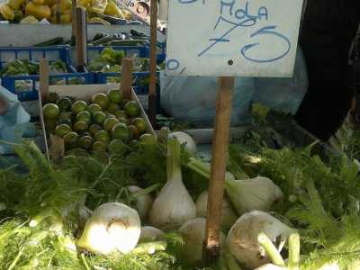 Mercato di Giovinazzo, finocchi in vendita come gay