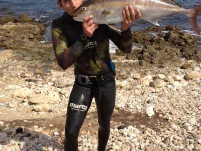 Una ricciola