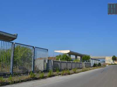 Una spettrale stazione ferroviaria mai aperta