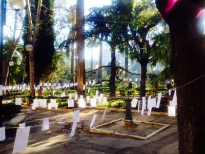 Piazza Umberto riempita di poesie
