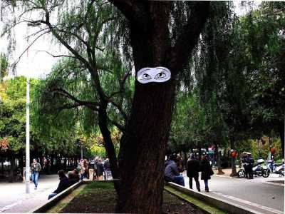 OGNI UOMO �  COME UN ALBERO E OGNI ALBERO � COME UN UOMO. Anche gli alberi, come noi, sono vivi, esistono e per questo non vanno danneggiati e dimenticati