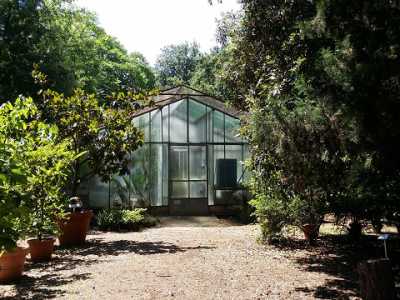 Una serra all'interno del giardino