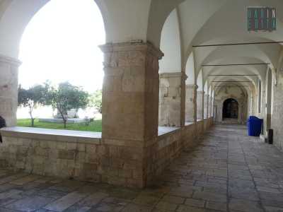 Foto 14c: il grande chiostro di San Francesco della Scarpa 