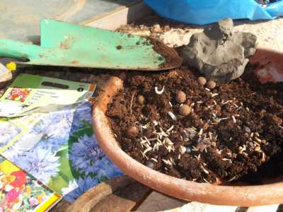 Casamassima, il Guerrilla Gardening