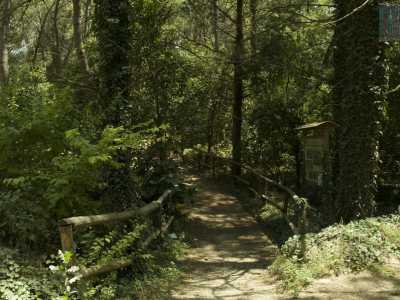 La passeggiata continua in un pittoresco sentiero "protetto" da corrimani in legno, circondato da pini, cipressi, querce