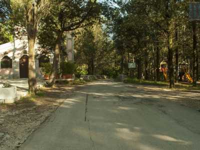 Attraverso un stradina asfaltata entriamo in una pineta...