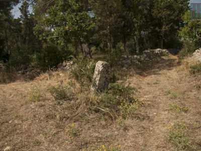 A un certo punto ci imbattiamo in una massiccia pietra conficcata nel terreno, segnale di un antico crocevia