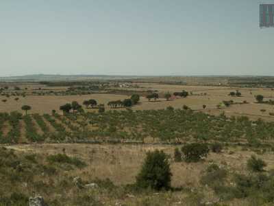...mentre a sud ammiriamo quello di Laterza e Castellaneta