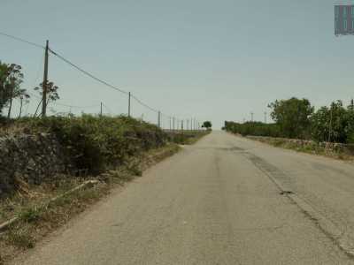 Riprendiamo fiato e decidiamo di andare a dare un'occhiata all'altra pineta di Montursi, quella di Grotta Caprara. Gi� dalla collina ci rimettiamo cos� sulla via per Laterza e dopo un chilometro e mezzo svoltiamo in una strada sterrata non segnalata da alcun cartello