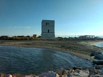 Una decina d�anni fa l�edificio �conquist� il noto Tonino Guerra, poeta e sceneggiatore che immagin� di girare alle saline un film ambientato su un pianeta fantastico. L�idea per� rimase solo sulla carta, per via della morte del grande artista