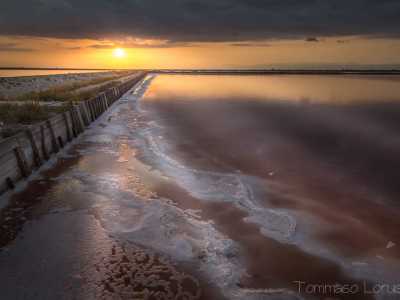 � l�ultimo atto della nostra visita alle saline. Tornando verso Margherita di Savoia sembra di essere parte di un quadro: il sole all�orizzonte tinge l�acqua dei vasconi di arancione, mentre gli strati galleggianti di quell�oro bianco, cos� prezioso da millenni, brillano poco prima che luce lasci il posto alla sera