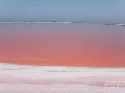 ...e dal rosa tenue di una vasca che lascia �colorare� da uno degli ultimi tramonti invernali
