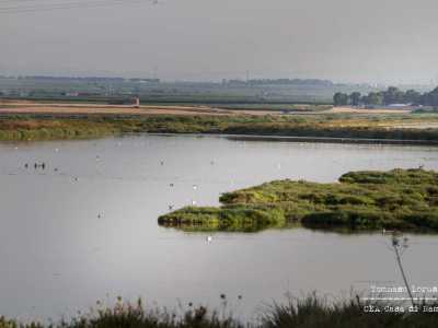 Proseguiamo verso nord per un altro chilometro, approdando sulla foce Aloisa, una delle tante che mette in comunicazione le saline con il mare, ma l�unica a essere collegata a una leggenda: quella dell��alma dannata�, che vede protagonista Annibale e l'amore impossibile con una prostituta, poi lapidata
