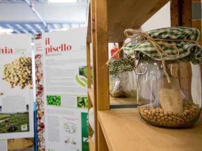 Il secondo � quello sull�alimentazione (�Un�avventura al minimarket�), in cui si entra in un supermercato con scaffali e �alimenti� fatti di cera