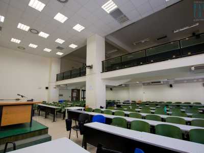 E tra grandi e luminose aule soppalcate...