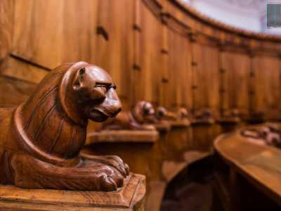 ... a sculture in legno di felini che osservano fieri il visitatore
