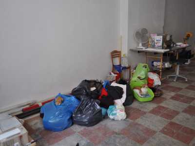 Due gatti si aggirano tra alcune buste di cibo 