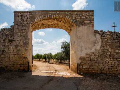 Un moderno cancello automatico, inserito in un antico portale in pietra ad arco a tutto sesto, ci permette di solcare il viale principale della tenuta