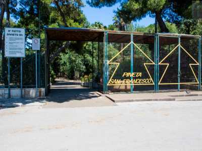 Per fare la loro conoscenza varchiamo il cancello azzurro della �Pineta grande�, una delle due aree in cui � diviso il grande giardino pubblico del quartiere San Girolamo
