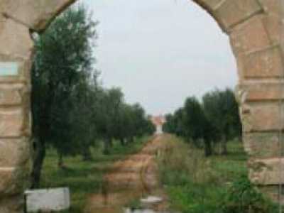 Lama Villa Lamberti