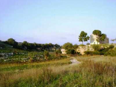 Lama San Giorgio
