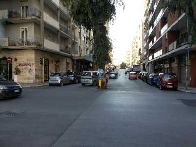 L'eucalipto del quartiere Picone