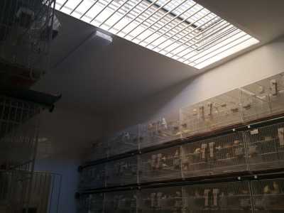 Una finestra sul soffitto permette l'illuminazione naturale del vano che mantiene una temperatura di 30 gradi e un'umidit� del 60 per cento