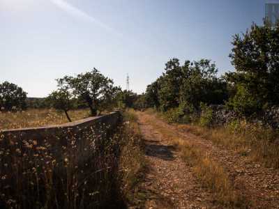 ...si trova in campagna, tra la �citt� della cipolla rossa� e Santeramo, in zona Ospedale Collone