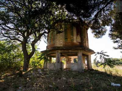 Gianfranco ci accompagna quindi alla scoperta dell�edificio: dopo aver percorso alcuni metri tra la vegetazione incolta, ci ritroviamo ai piedi del casino, circondato da alti alberi sempreverdi 