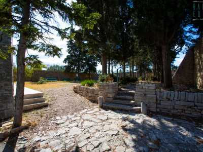 Usciamo dalla sagrestia e giungiamo in quello che era l'orto monastico: un giardinetto oggi impreziosito da alberi e piante curatissimi, che si popola ogni domenica, quando viene celebrata la messa