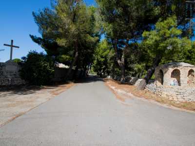 La strada si incunea nella pineta del santuario...